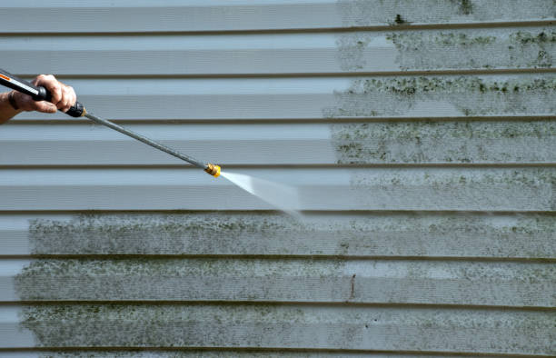 Best Commercial Mold Removal  in Bigfork, MT
