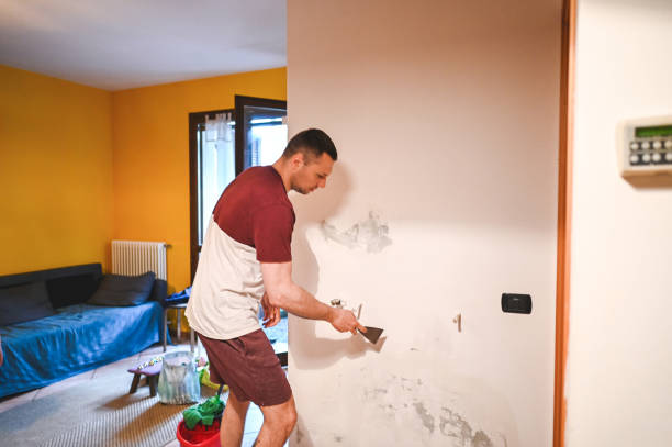 Best Affordable Mold Removal  in Bigfork, MT