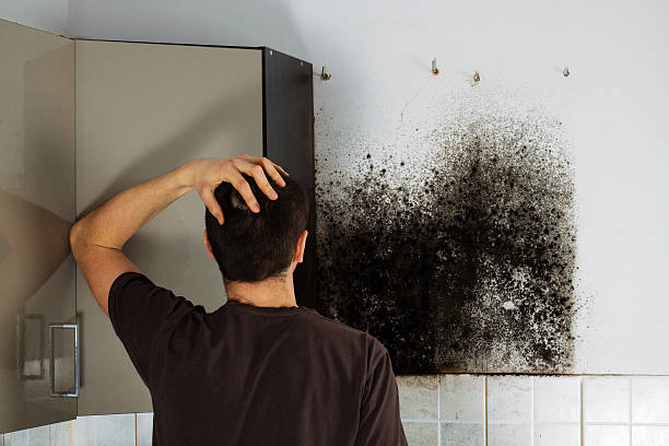 Best Mold Cleaning Services  in Bigfork, MT